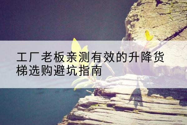 岭东升降货梯怎么选-工厂老板亲测有效的升降货梯选购避坑指南