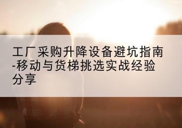 岭东移动式升降机怎么选-工厂采购升降设备避坑指南-移动与货梯挑选实战经验分享