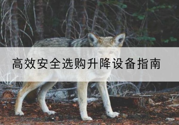 岭东升降货梯厂家推荐-*安全选购升降设备指南
