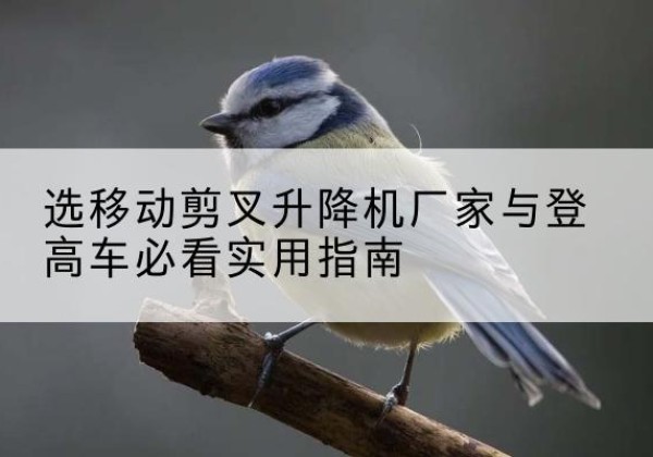 岭东电动升降机厂家-选移动剪叉升降机厂家与登高车必看实用指南