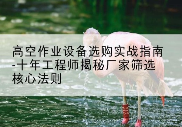 岭东剪叉式升降机厂家-高空作业设备选购实战指南-十年工程师揭秘厂家筛选核心法则