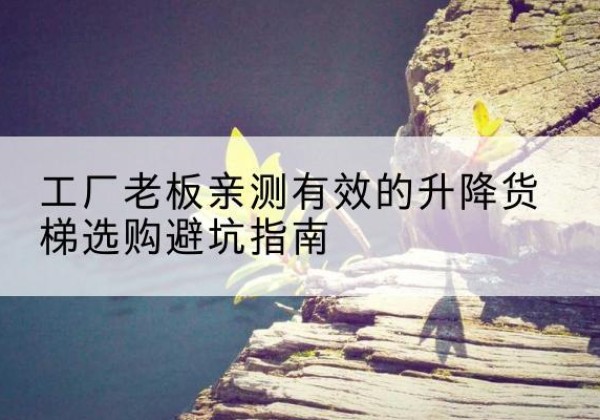 岭东升降货梯怎么选-工厂老板亲测有效的升降货梯选购避坑指南